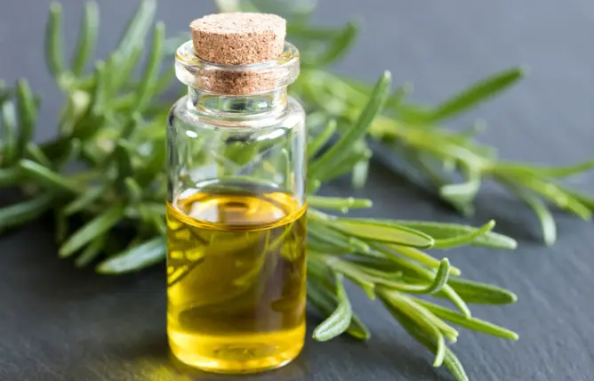 植物的生发产品