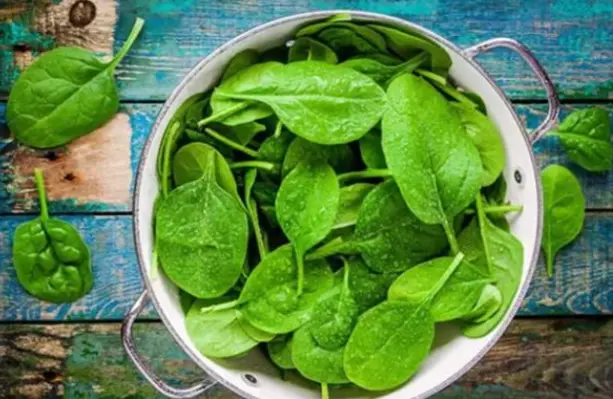 化妆品研发oem公司