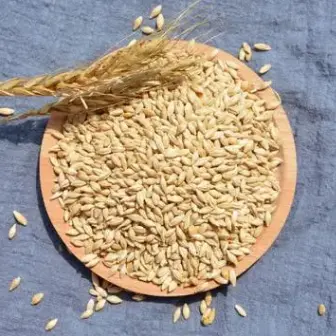 化妆品oem生产公司