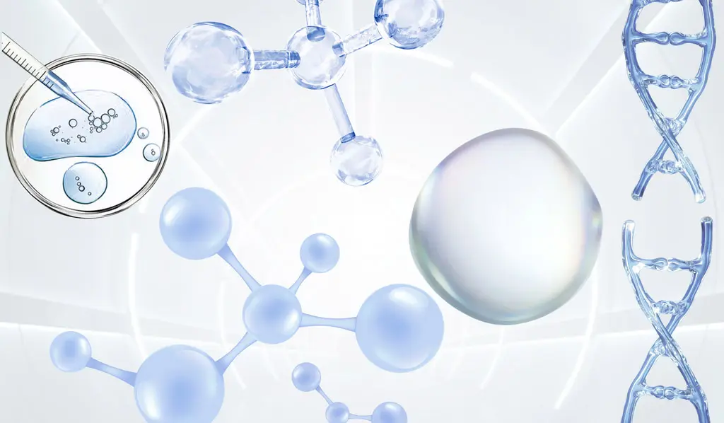 化妆品代工厂家