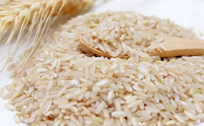 有用的防脱生发产品