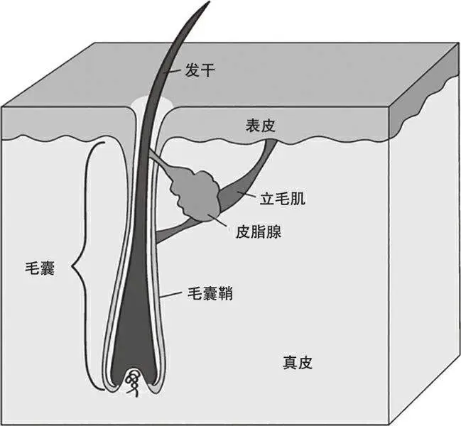 加工生产生发产品