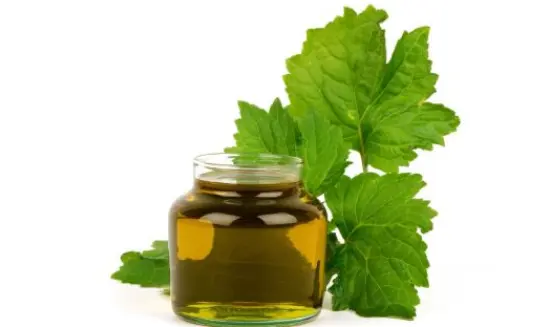 化妆品代加工厂家广东