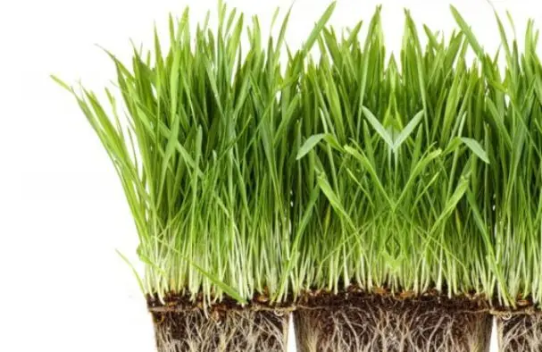 护肤品加工生产公司