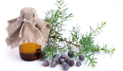 生发养发产品厂家