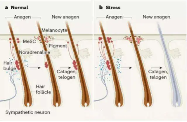 养发产品供货厂家