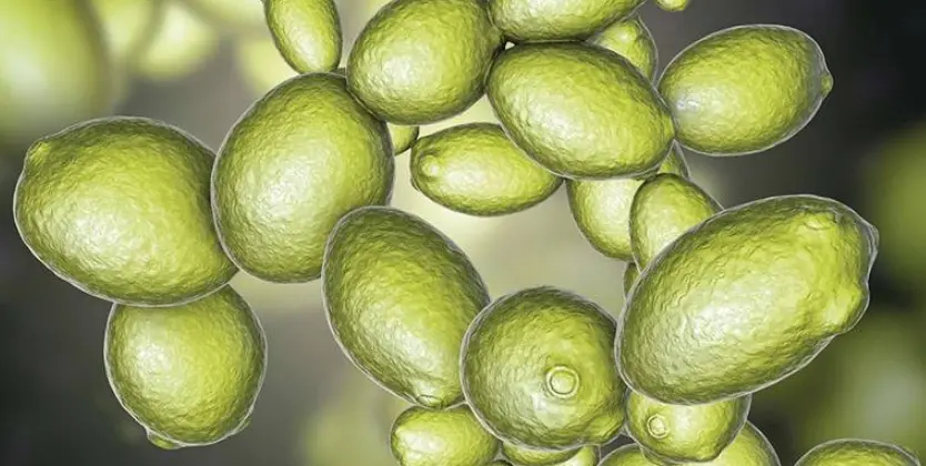 oem加工化妆品工厂