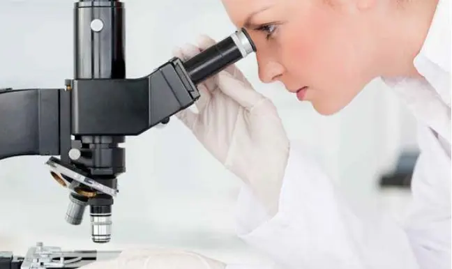 品牌化妆品生产