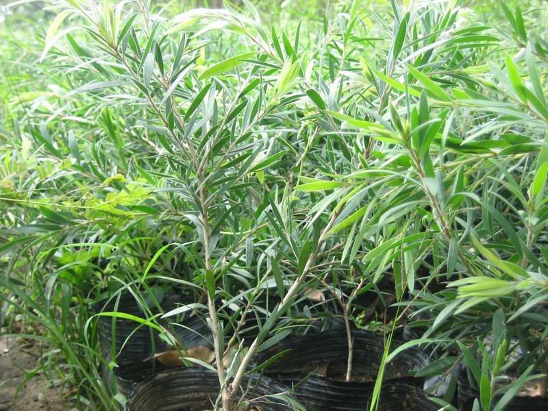 寻找化妆品oem厂家