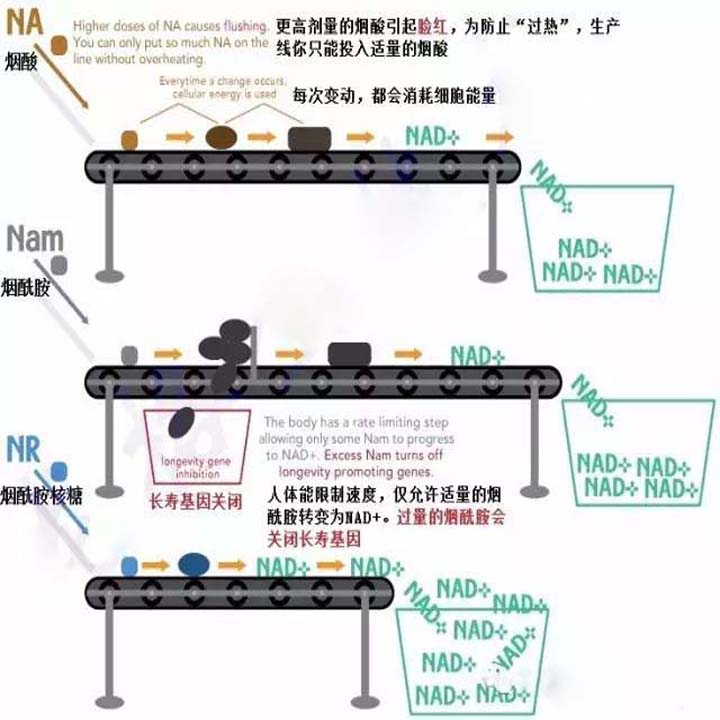 贴牌加工化妆品厂家