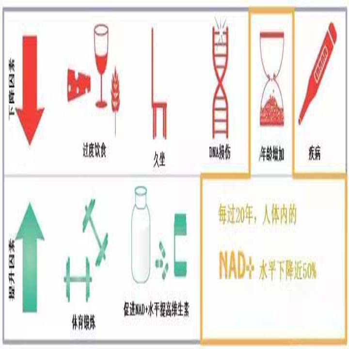 品牌化妆品生产