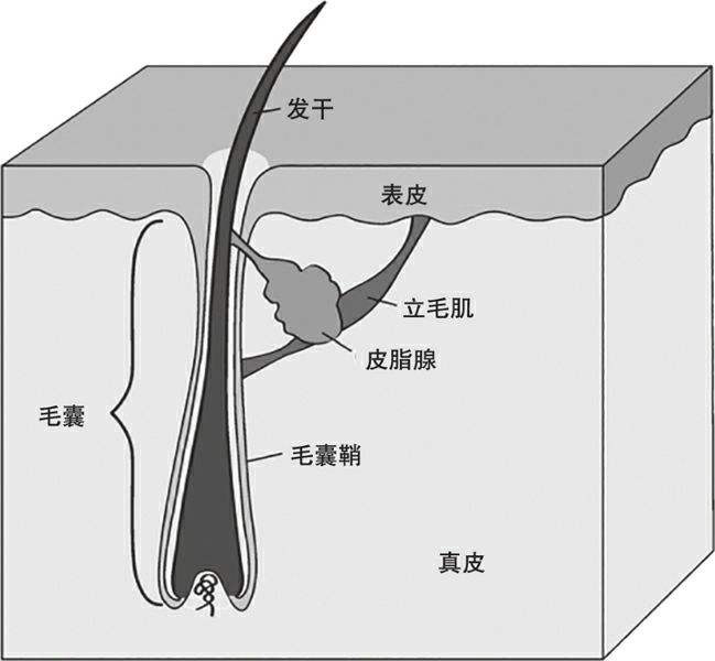 oem化妆品委托生产