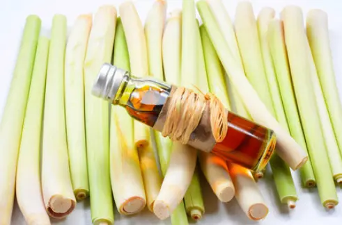 生产型化妆品公司