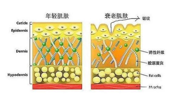 化妆品公司生产基地