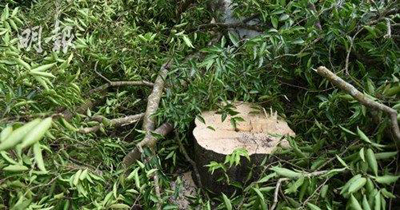 生产化妆品的工厂