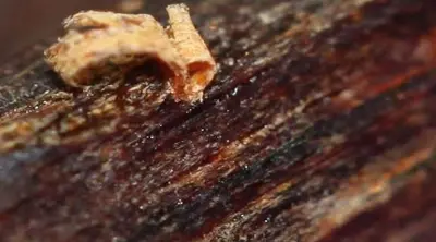 好的化妆品oem工厂