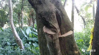 加工护肤品生产