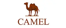 CAMEL 駱駝