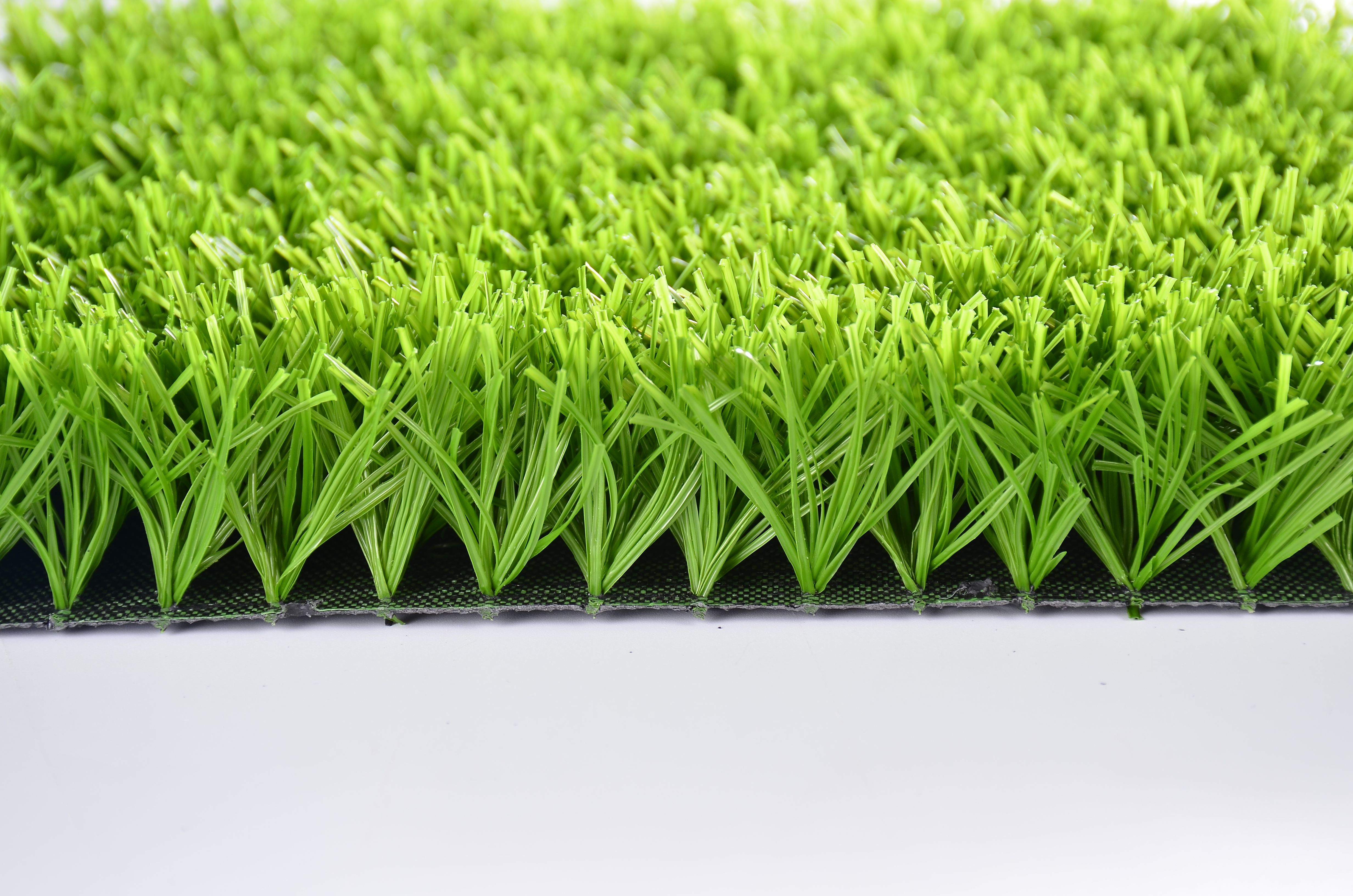 Entry-level football grass ENO-EC01