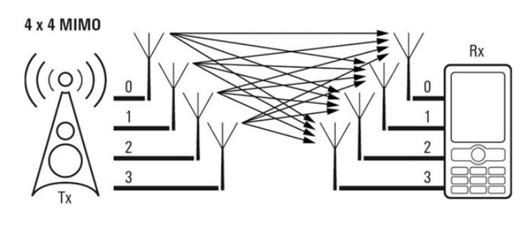 1544685812780079040.jpg