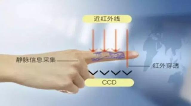 人脸、指纹、声纹均被破解？哪种生物识别才安全？