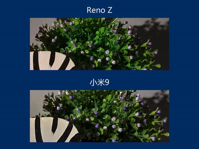 被低估的夜拍神器？Reno Z/小米9/苹果XS Max夜拍实测