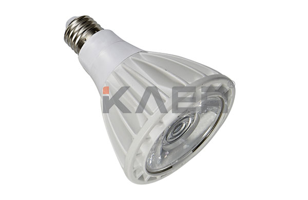 LEDPAR30 bulbs