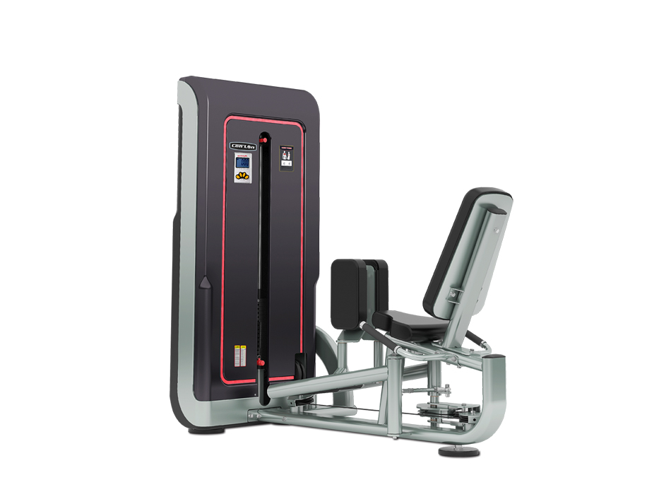 GS317 Abductor & Adductor