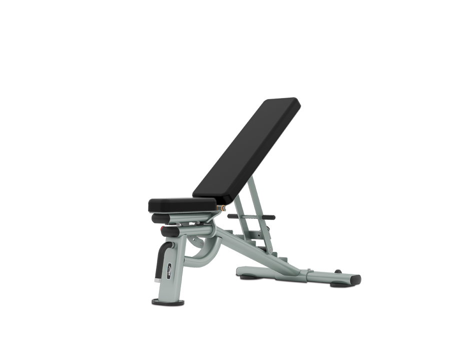 GC112 Adjustable Dumbbell Bench