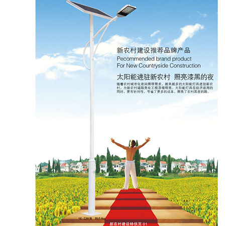 5m new rural solar street light