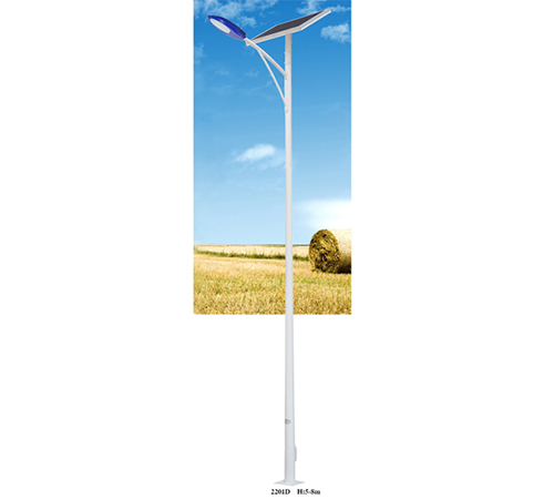 6m new rural solar street light