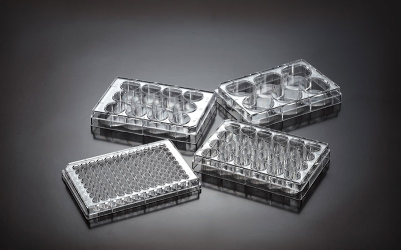 CellATTACH™ Cell and Tissue Culture Plate