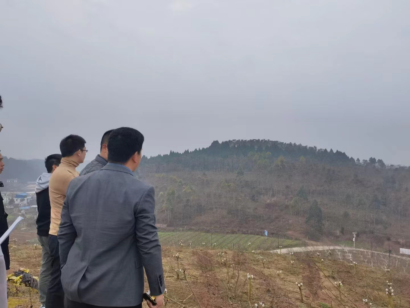 合肥捐卵之旅