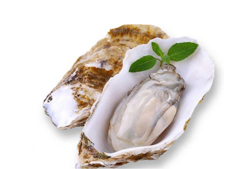 蚝.png 1603159845114014786.png