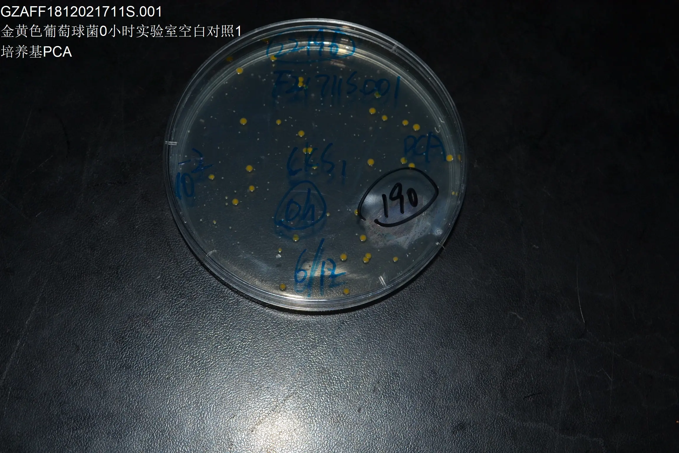金黄色葡萄球菌0小时实验室空白对照S1 
