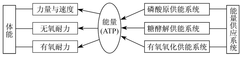 胶粒间的能量示意图图片