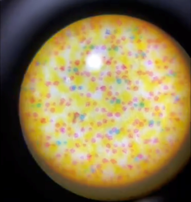 1621990991667017173.png