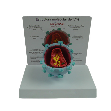 EP-1491 HIV model