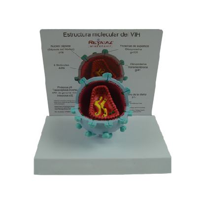 EP-1491 HIV model