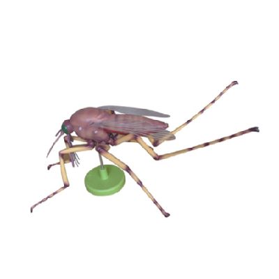  EP-1351 Mosquito Model (8 parts)