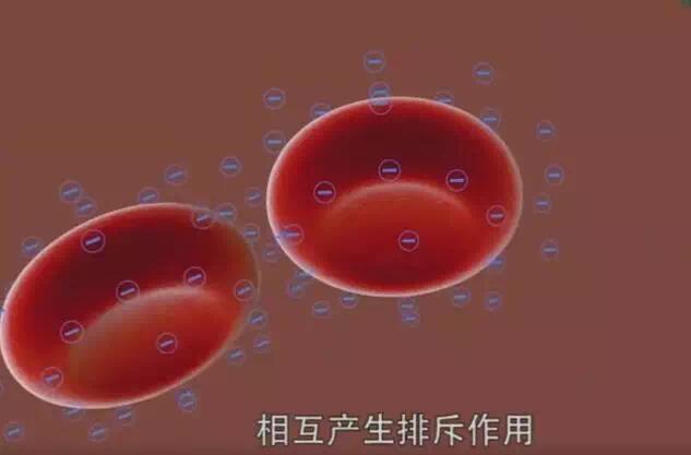 红细胞叠连现象图片