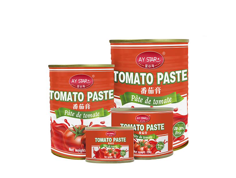 600g Bulk Low Price Bulk Drums Packaging 28-30% Brix Fresh Natural Tin Tomato Paste
