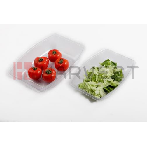 G22611-G22612  RECTANGULAR PC BOWLS