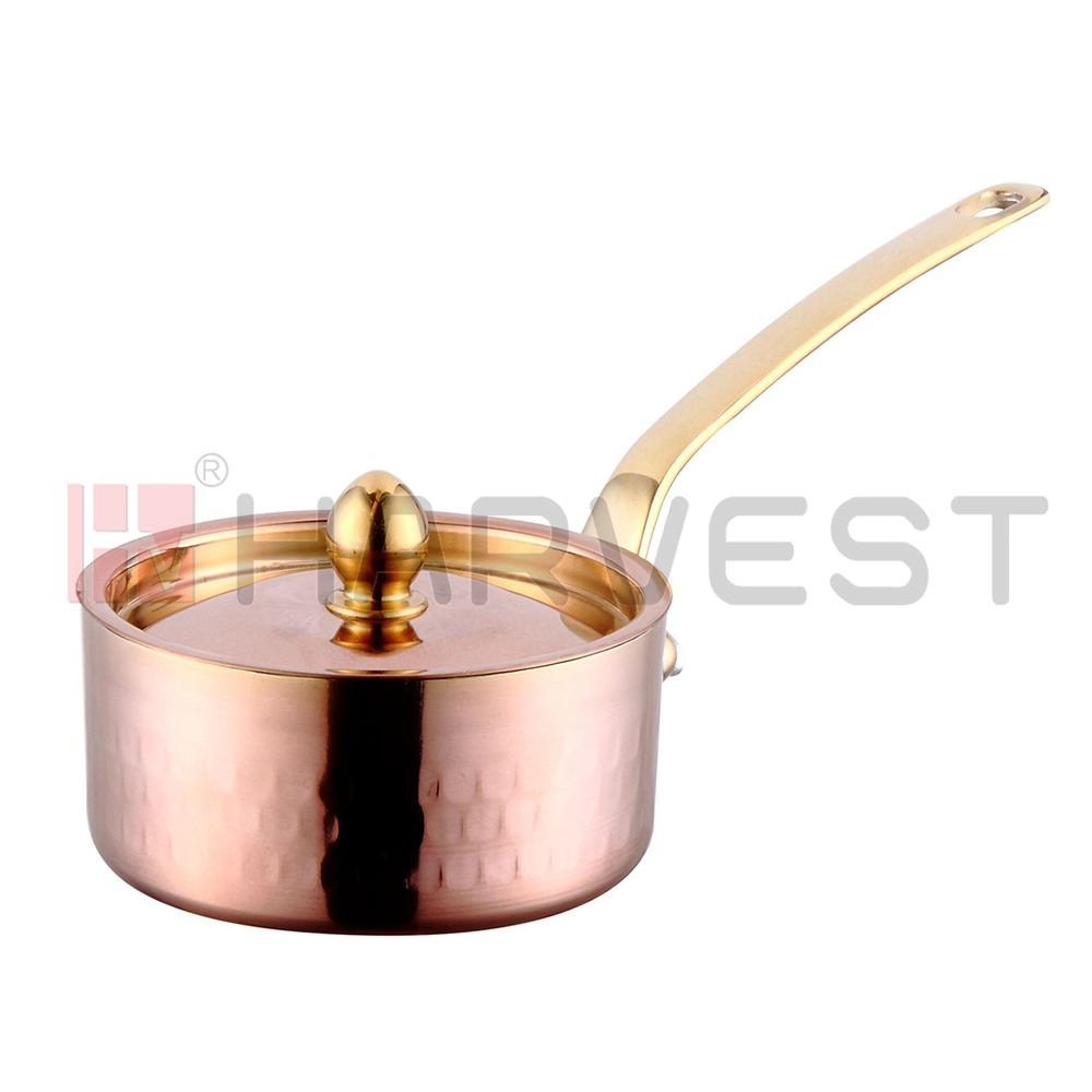 E26145 MINI 3-LAYER S/S SAUCE PAN WITH COVER-SINGLE HANDLE