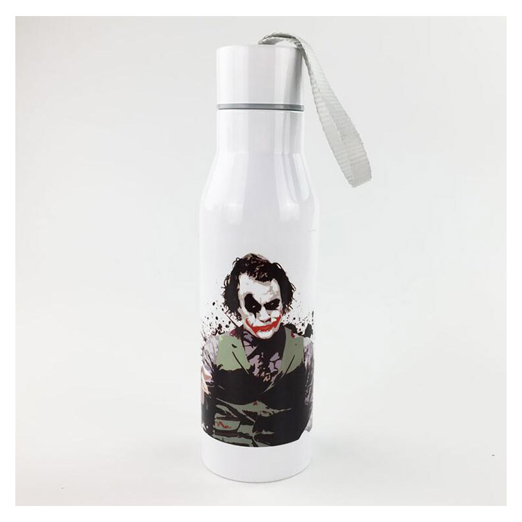 Double Wall Stainless Steel Bottle BY-G-DS005