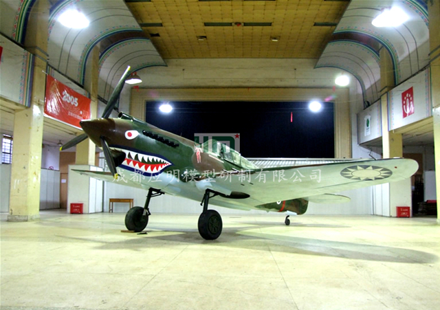 1：1飞机模型-寇蒂斯P-40战斗机模型