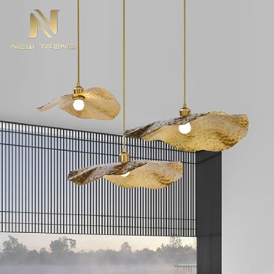 Modern style indoor living room bedroom decoration iron frame led pendant light DJS1910