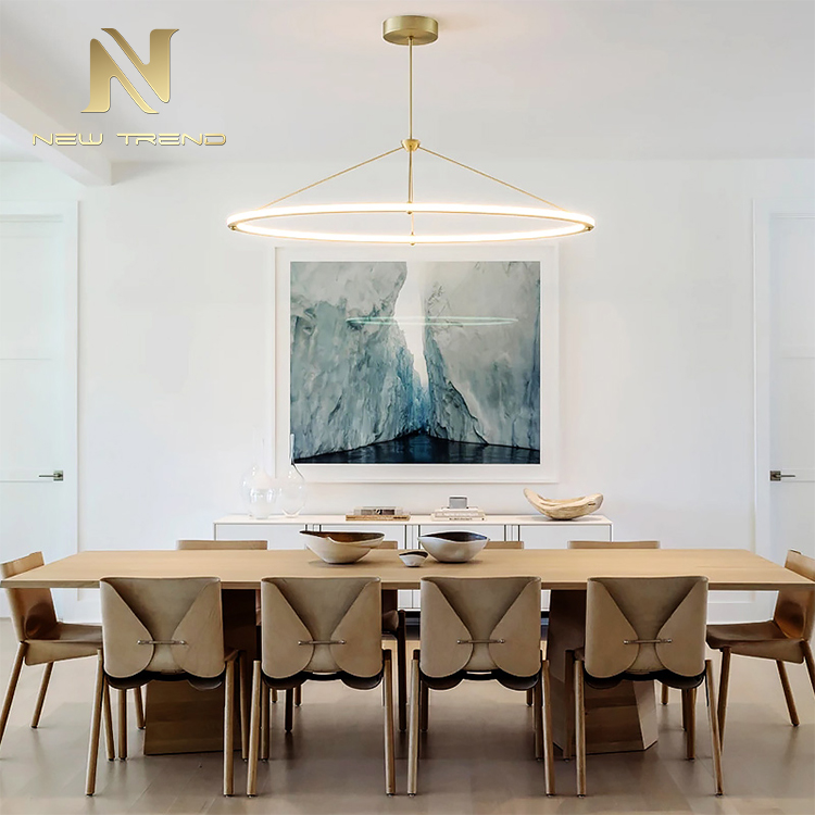 Modern Style Restaurant Hotel Decoration Stainless Steel LED Pendant Lamp PMU8793