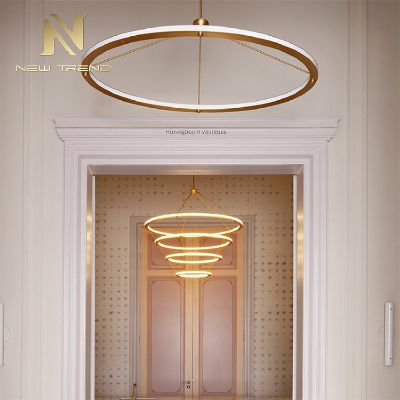 Modern Style Restaurant Hotel Decoration Stainless Steel LED Pendant Lamp PMU8793