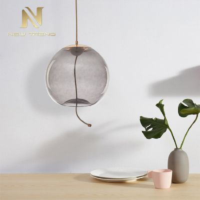 Antique Style Minimalist Interior Decoration Glass Smoke Color Led Pendant Light PF00286